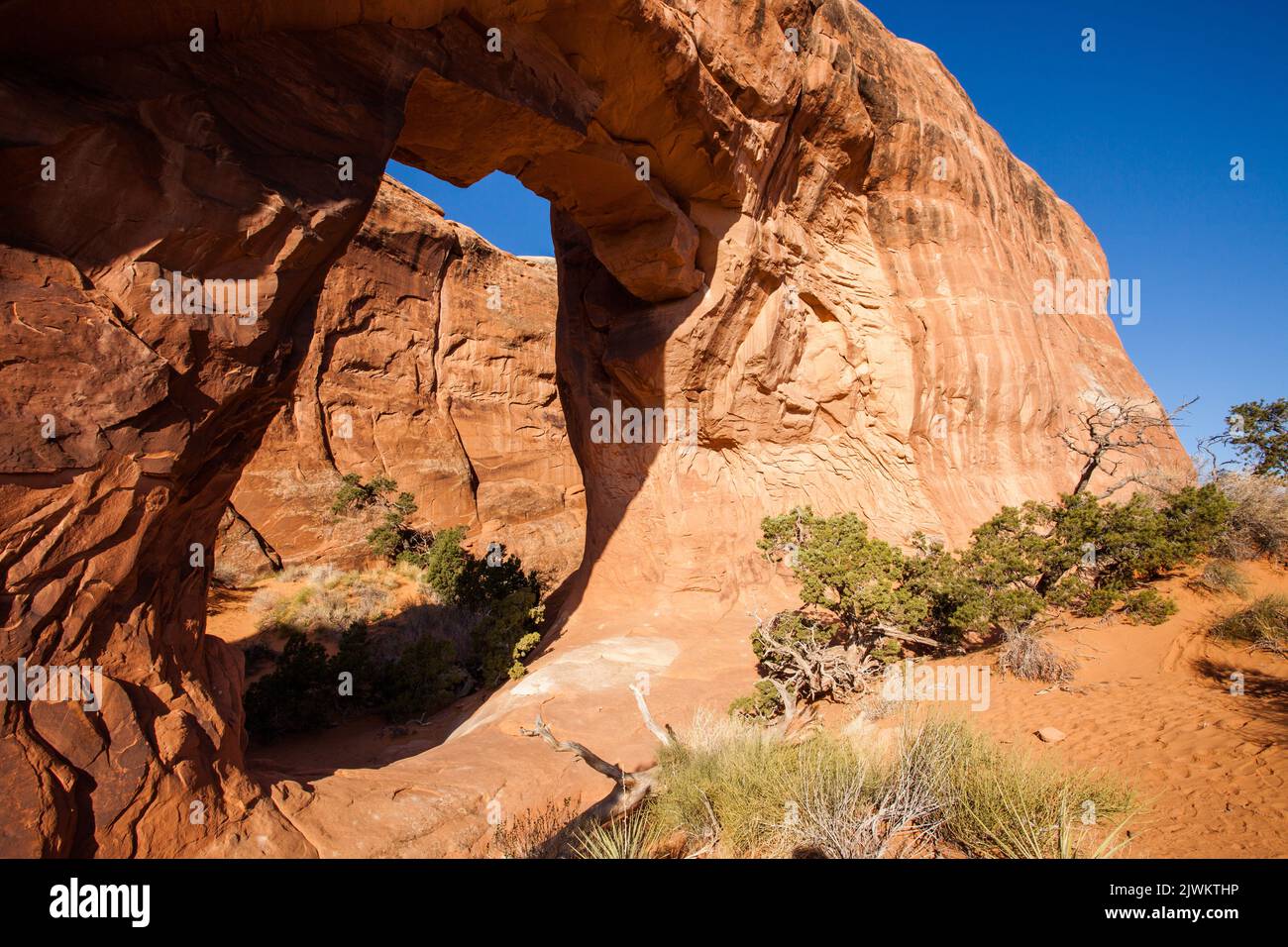 Pine Tree Arch in the Devil's Garden section of Arches National Park, Moab, Utah. Stock Photo