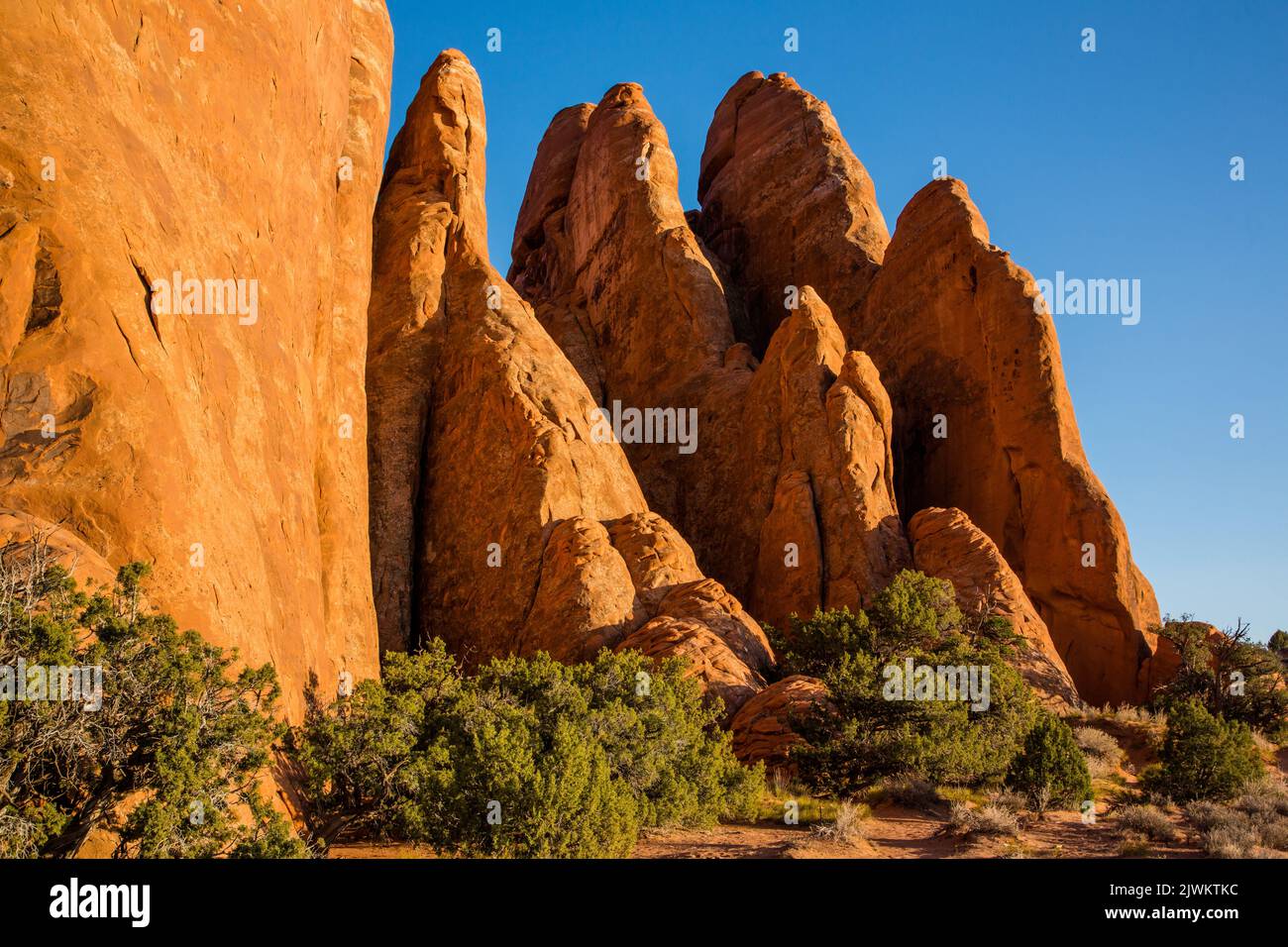 Entrada sandstone fins in the Devil's Garden section of Arches National Park, Moab, Utah. Stock Photo