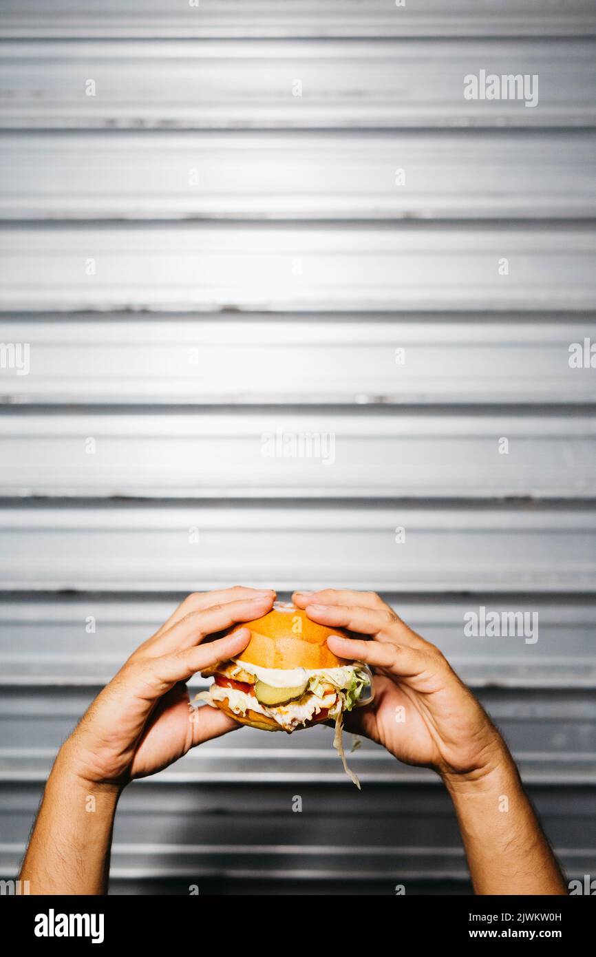 Human hands holding a chickenburger with vegetables over a grey background Stock Photo