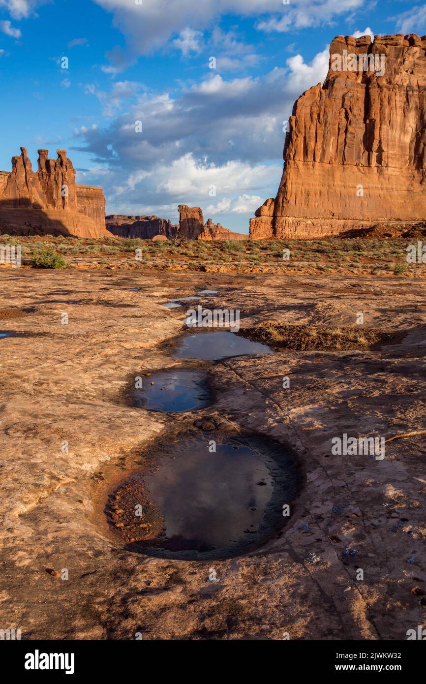 Clouds reflected in an ephemeral rainwater pool in the Courthouse ...