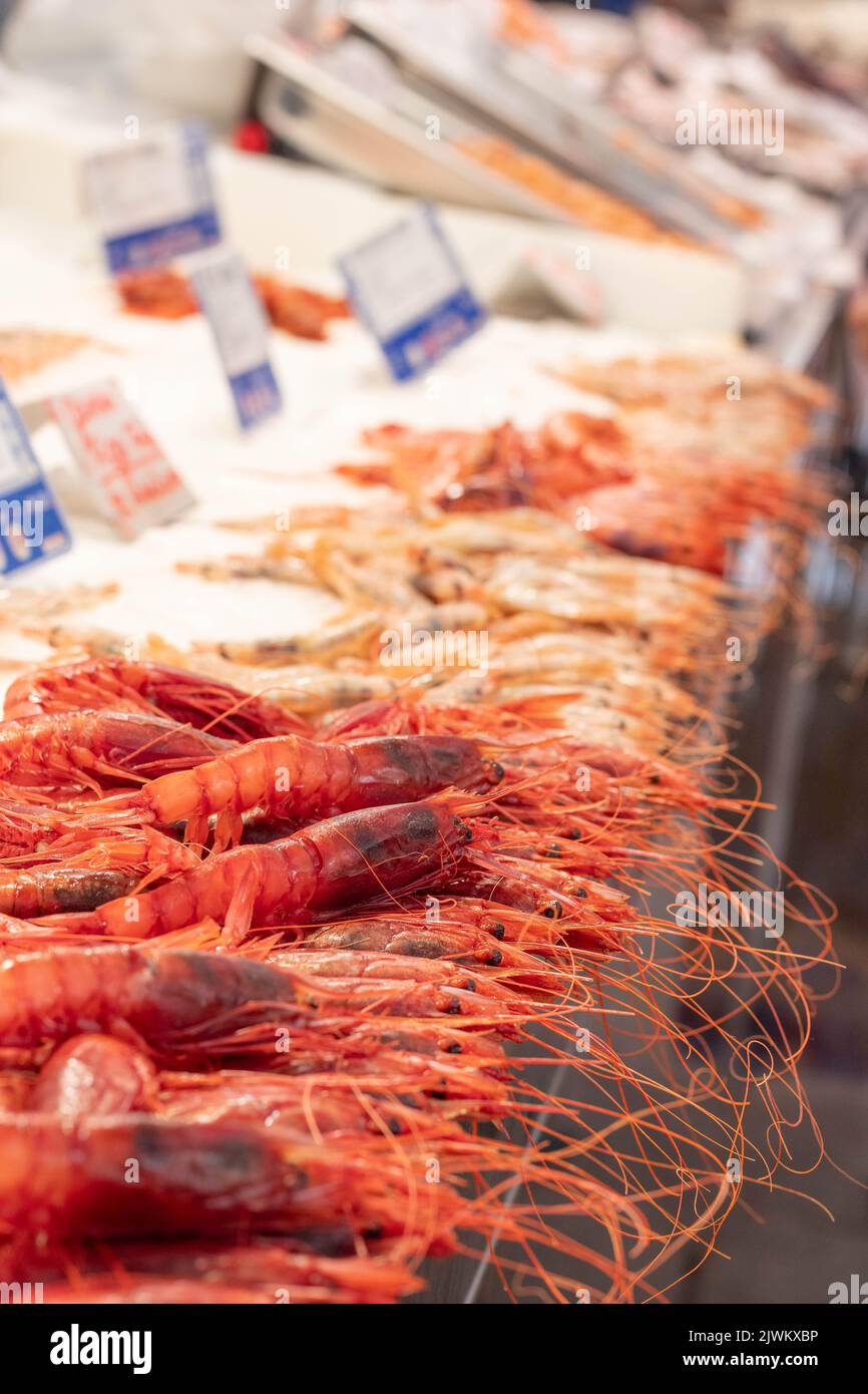 Close up view of fresh seafood from the Atlantic ocean exhibited at the