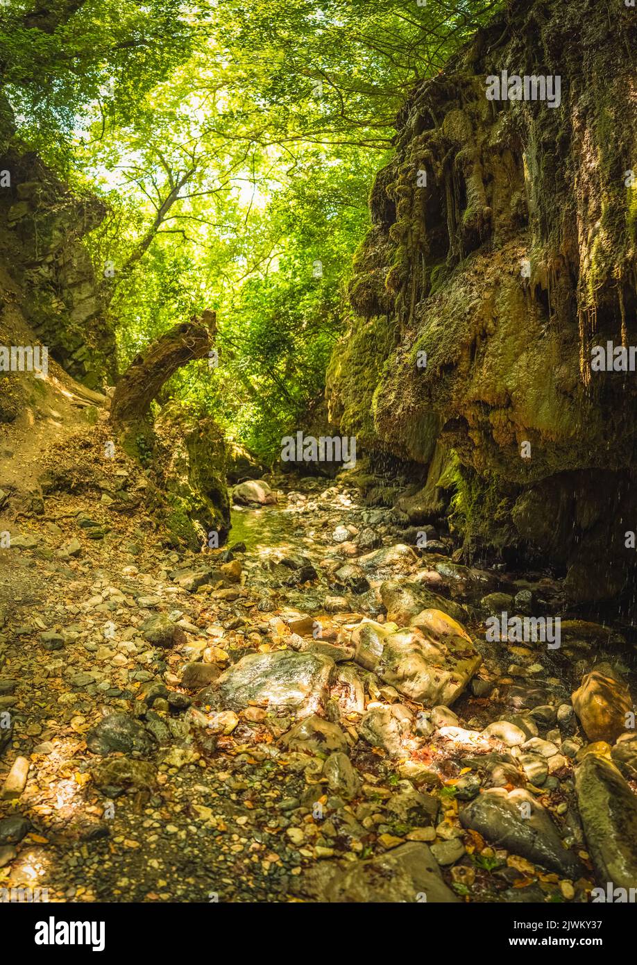 Mount Ida National Park. Edremit, Balikesir, Turkey. Mossy rocks. Crying waterfall (Aglayan Selale). Selective Focus Stock Photo