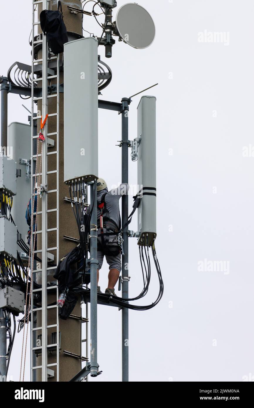two Telekom technicians perform work on a transmission tower Stock
