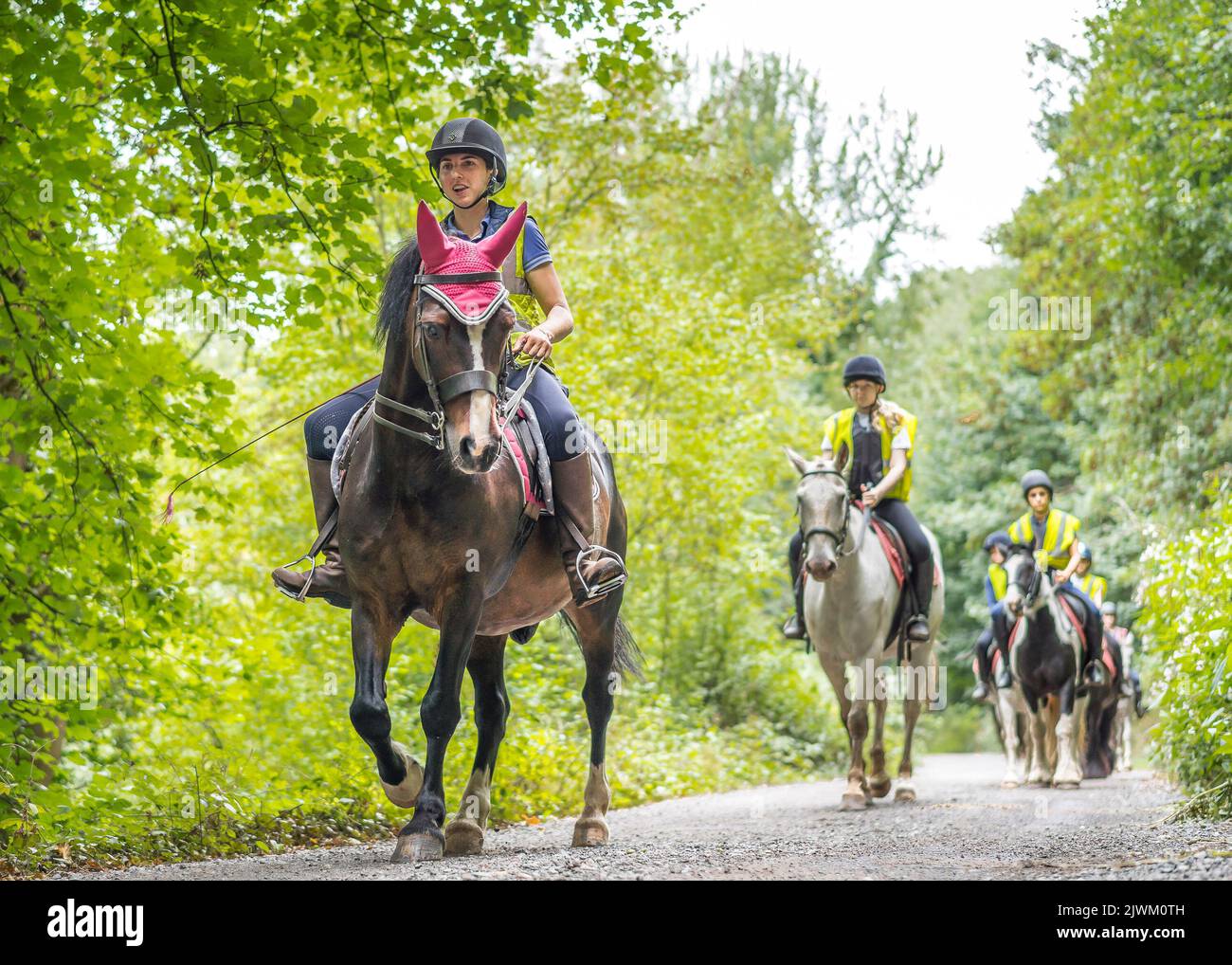 Front view of a number of horses and riders on a hack in a UK country ...