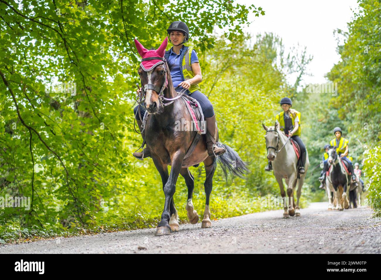 Front view of a number of horses and riders on a hack in a UK country ...