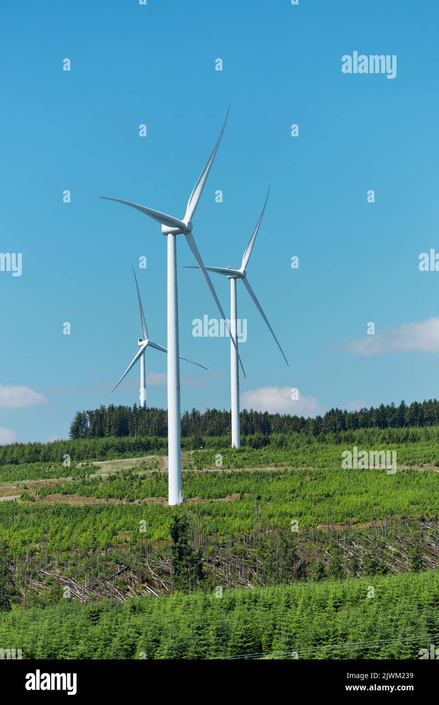 Three wind turbines at Pen y Cymoedd Wind Farm Limited, Wales, UK Stock Photo