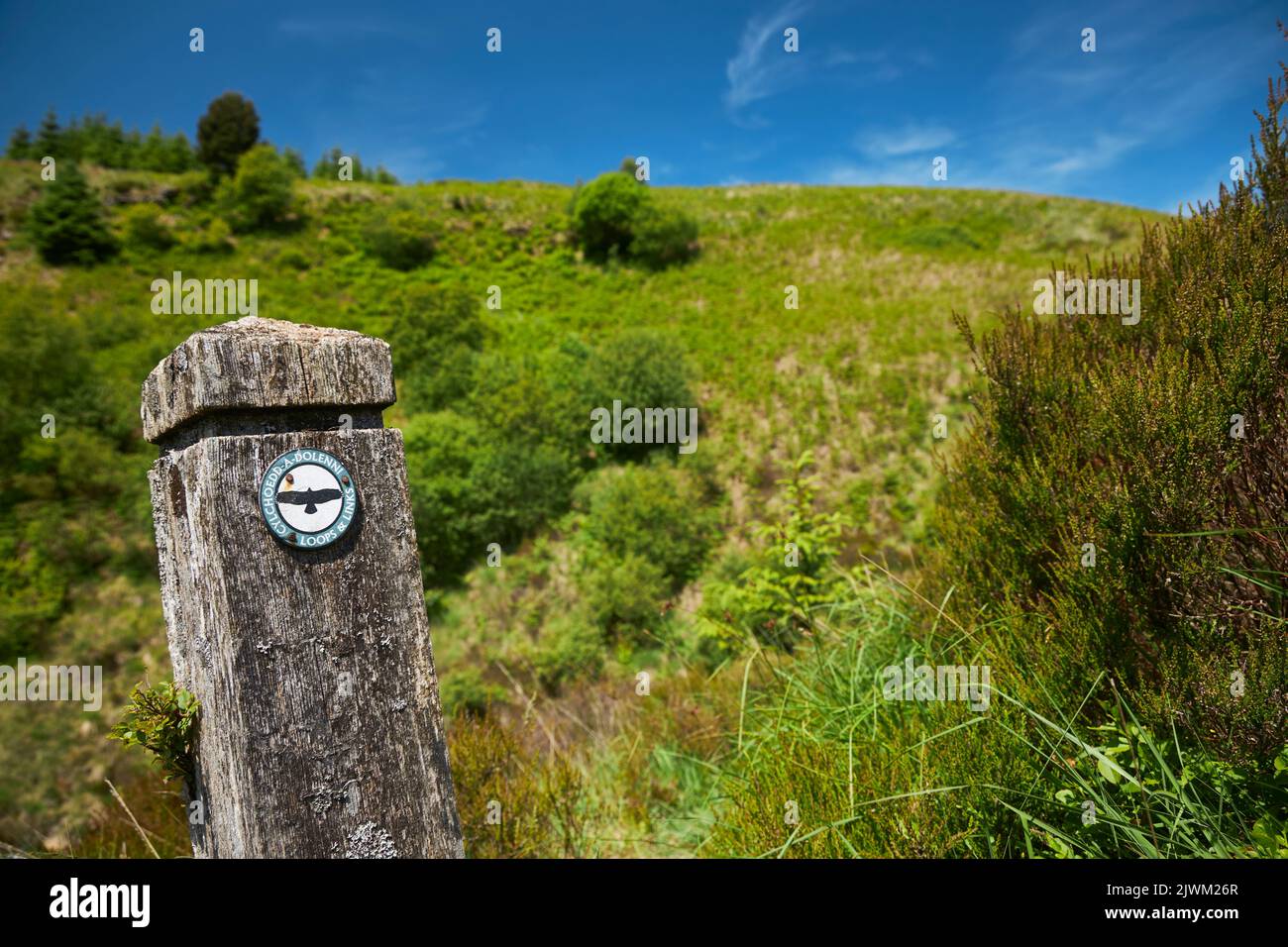 Cylchoedd a Dolenni / Loops and Links footpath sign in green landscape Stock Photo