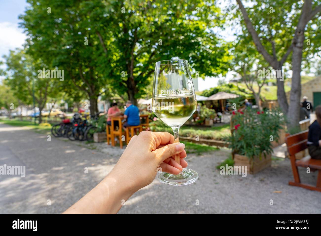 holding a glass of wine with a sign of the vine village Purbach am Neusiedlersee old traditional village in Purbach Austria next to Lake Neusiedl Stock Photo