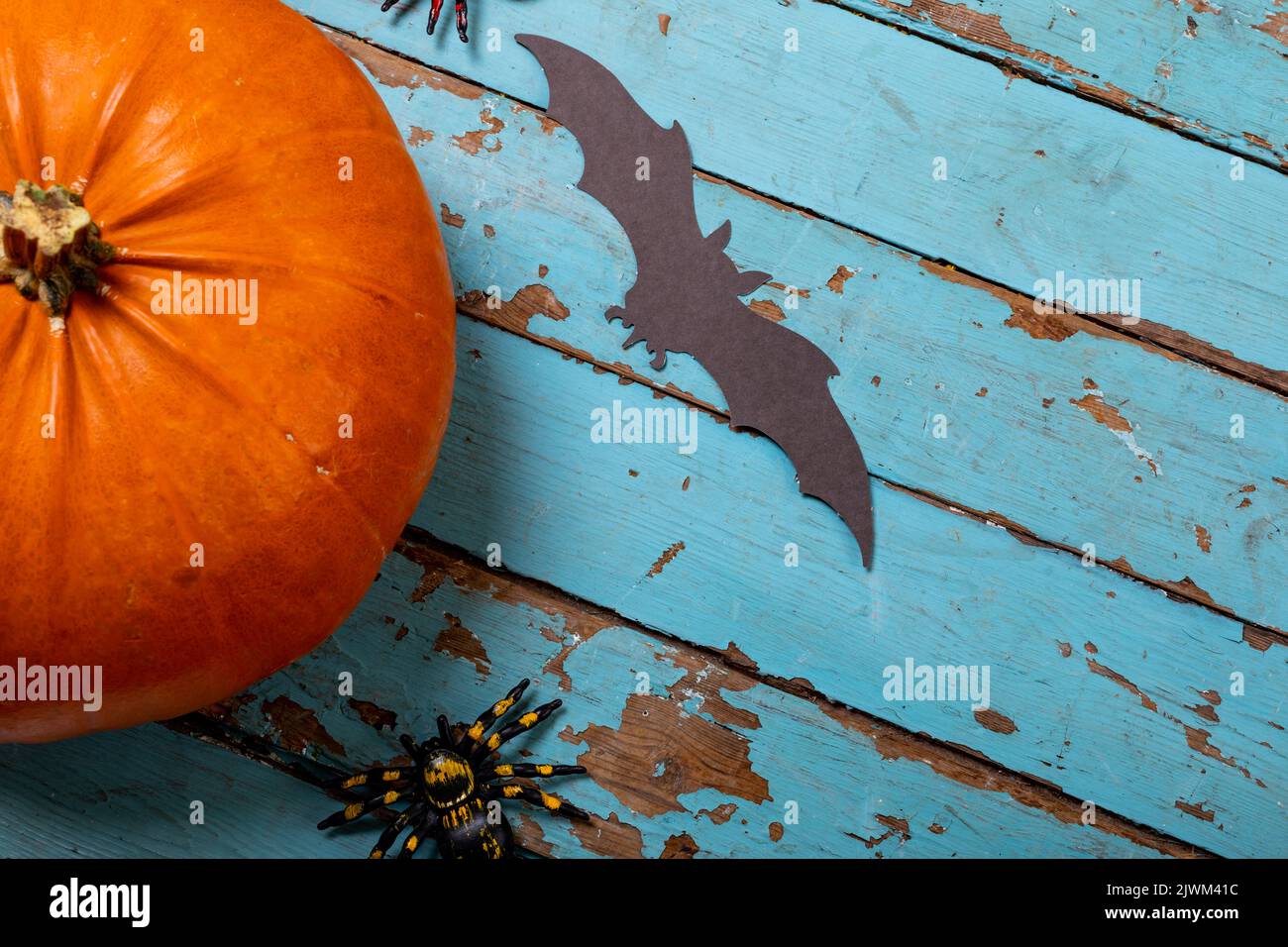 Pumpkin, spider and bat toys with copy space on blue wooden surface Stock Photo