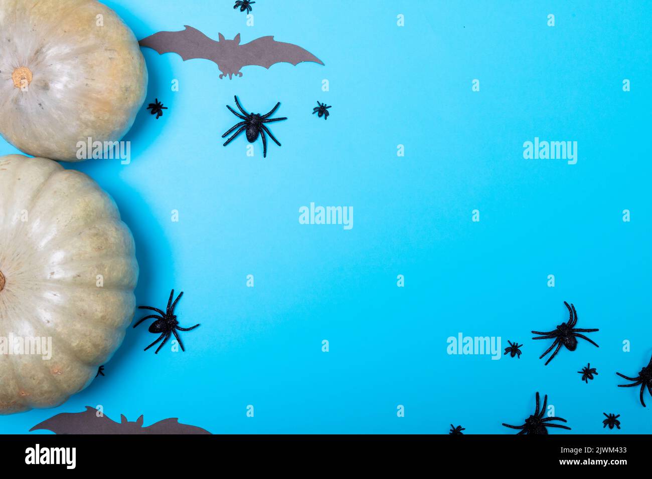 Pumpkins, multiple spider and bat toys with copy space on blue background Stock Photo