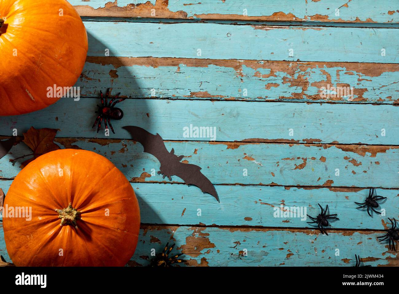 Pumpkins, spider and bat toys with copy space on blue wooden surface Stock Photo