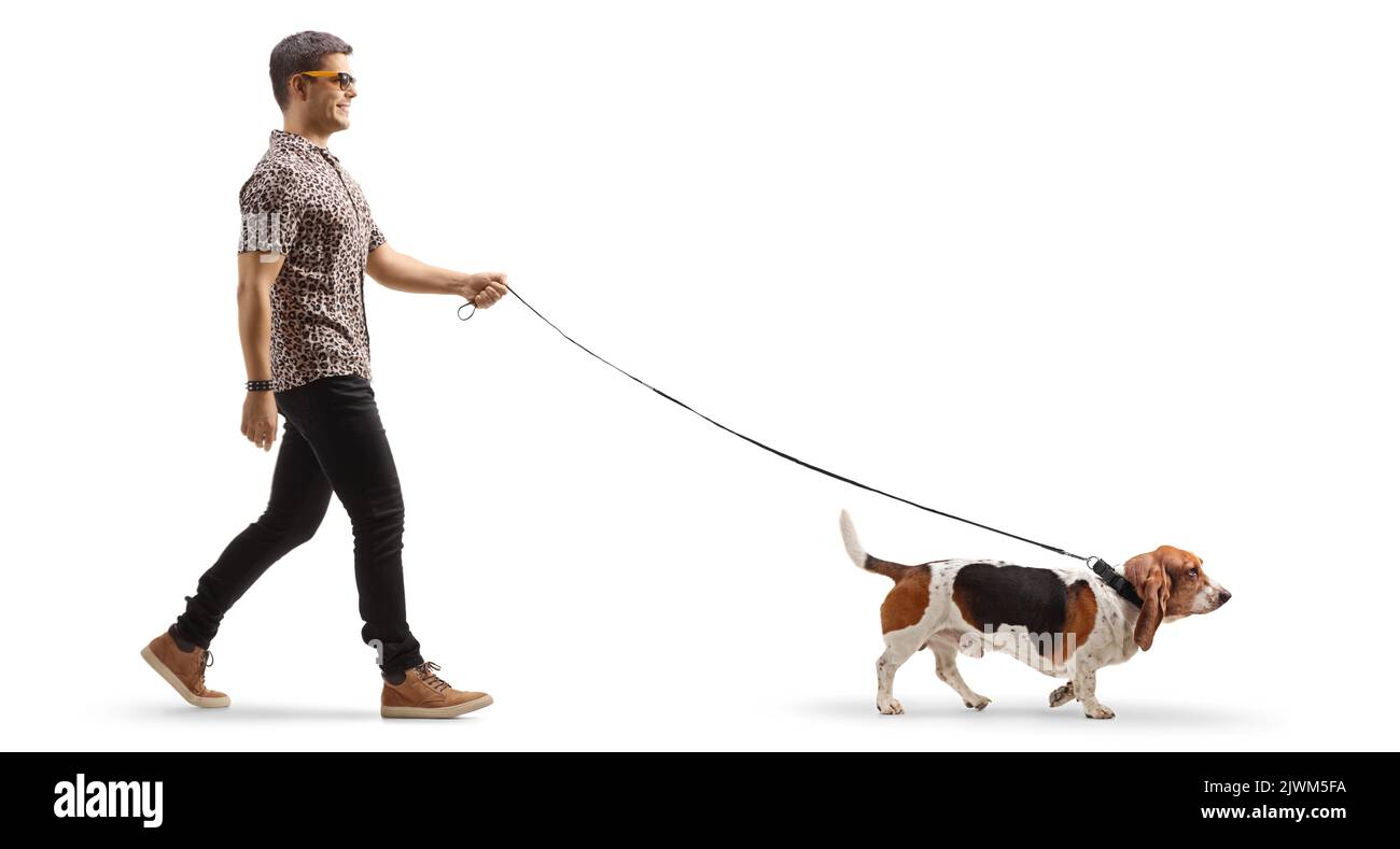 Full length profile shot of a cool young man walking a basset hound dog on a lead isolated on white background Stock Photo