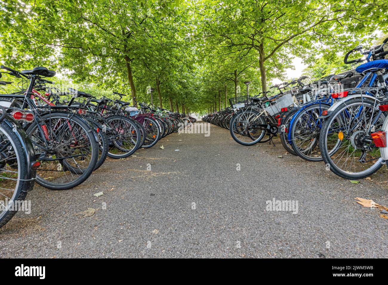long, never-ending corridor of a large bicycle parking lot countless bicycles Stock Photo