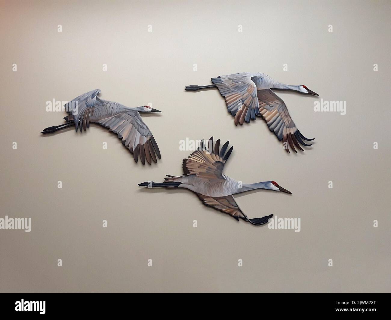 Birds in flight wall hangings in a public children's health waiting area. Stock Photo