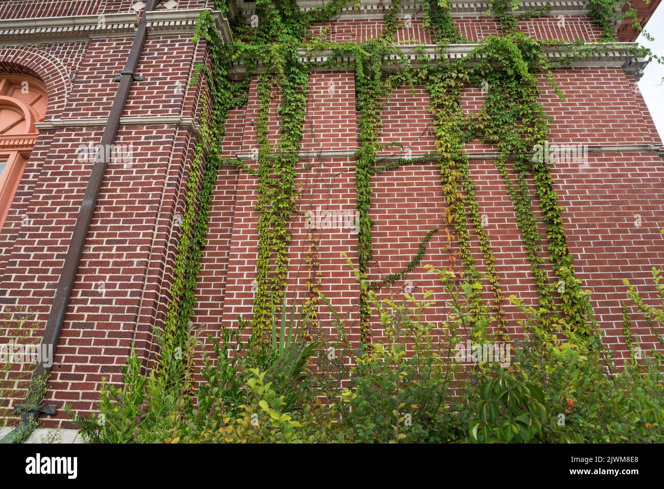 Live Oak, Florida near the Suwannee River in North Florida. Here is the