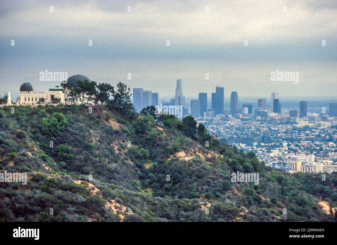 The Los Angeles skyline and the Griffith Observatory in 1990, California, USA Stock Photo