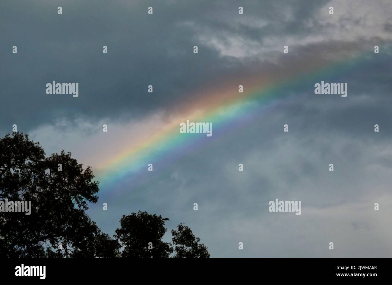 After a cloudy and stormy day, a rainbow starts to appear over North Central Florida. Stock Photo