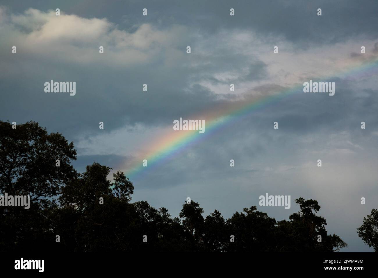 After a cloudy and stormy day, a rainbow starts to appear over North Central Florida. Stock Photo