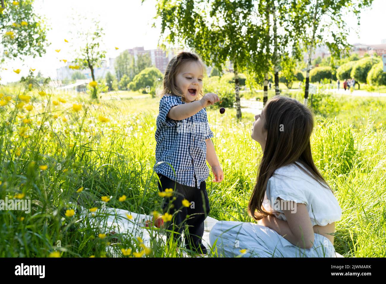 Brother and sister are playing in the park among the green grass ...