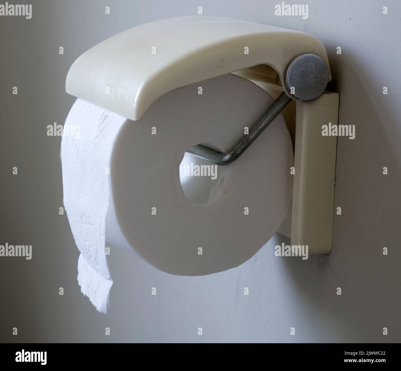 A Cushelle tubeless toilet roll Stock Photo