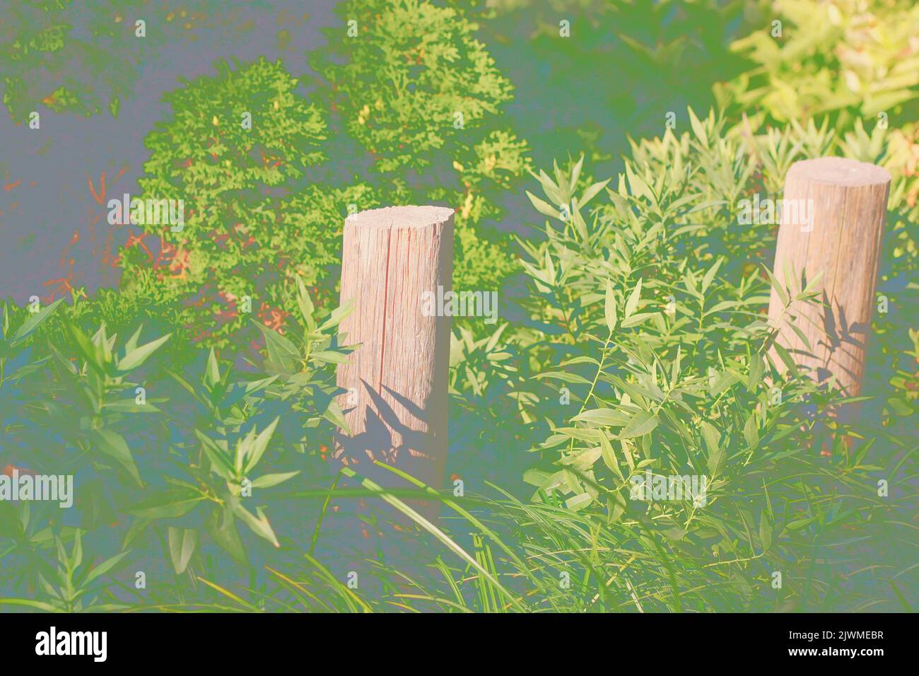 Wooden fence post standing in the summer meadow in a colorful faint