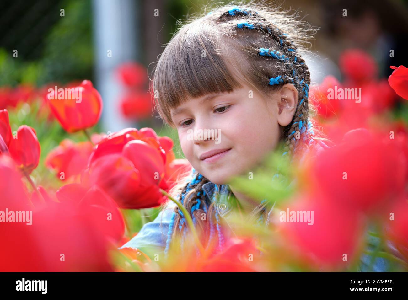 Happy child girl enjoying sweet smell of red tulip flowers in summer garden Stock Photo