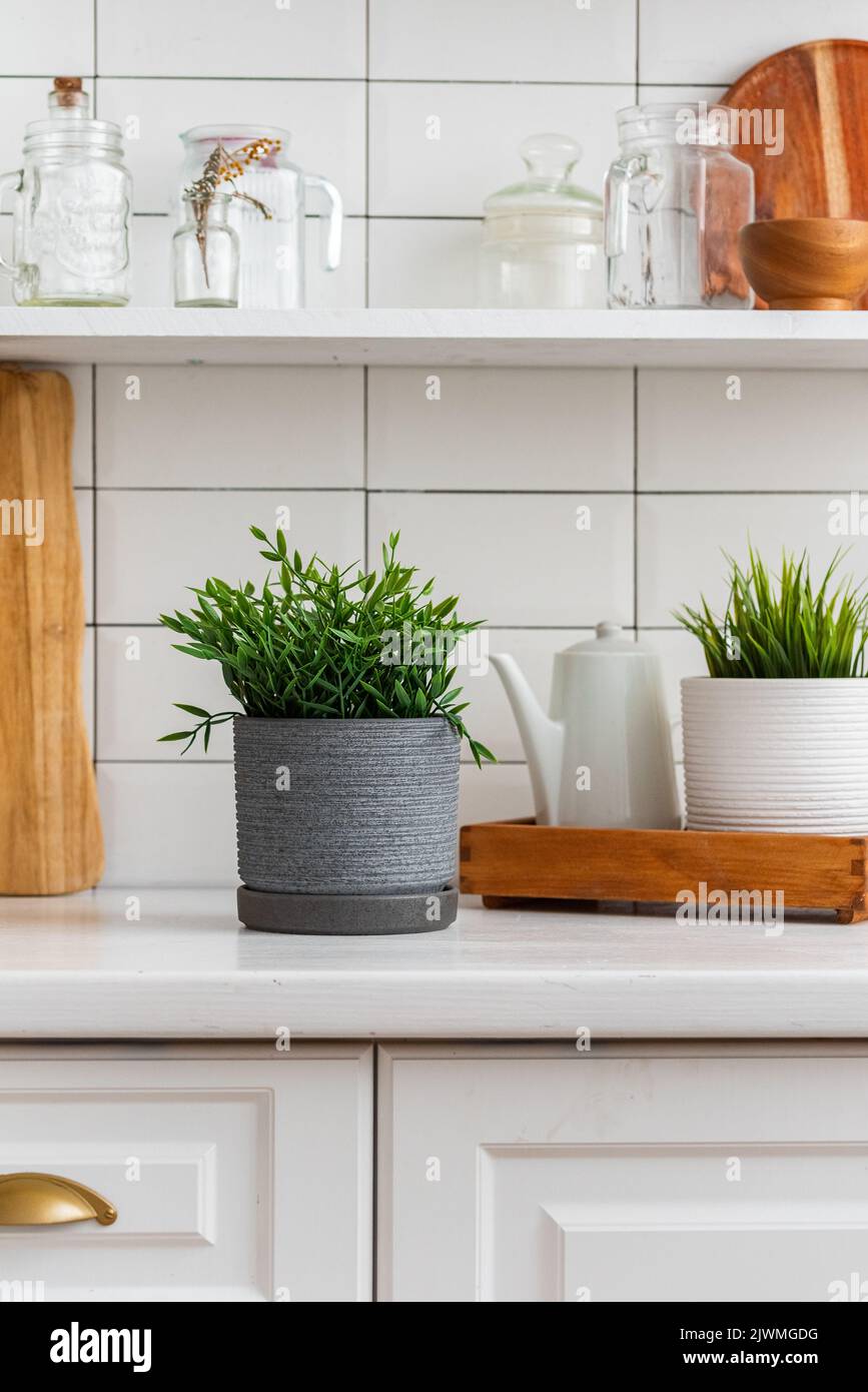 artificial plants in a bright kitchen Stock Photo