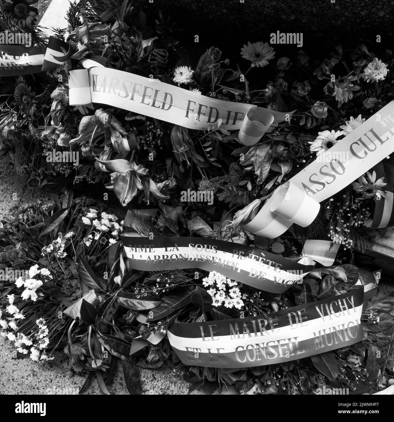 Sprays of flowers, Vichy, Allier, AURA Region, Central France Stock