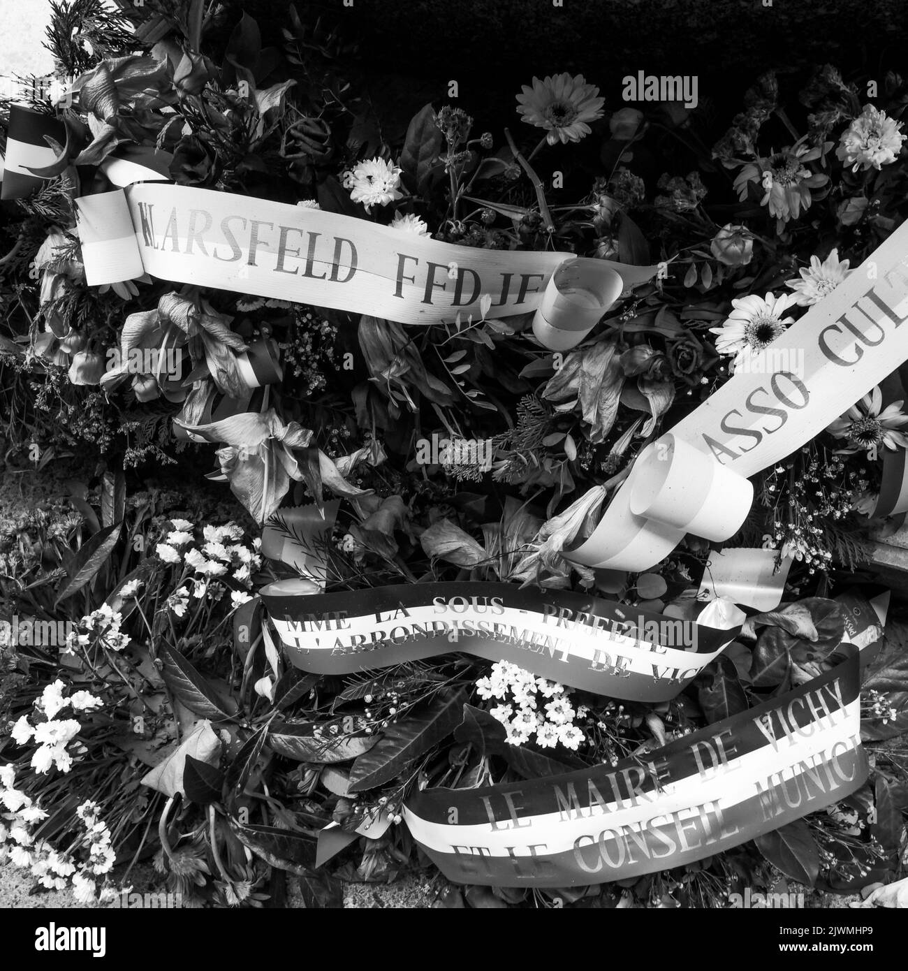 Sprays of flowers, Vichy, Allier, AURA Region, Central France Stock