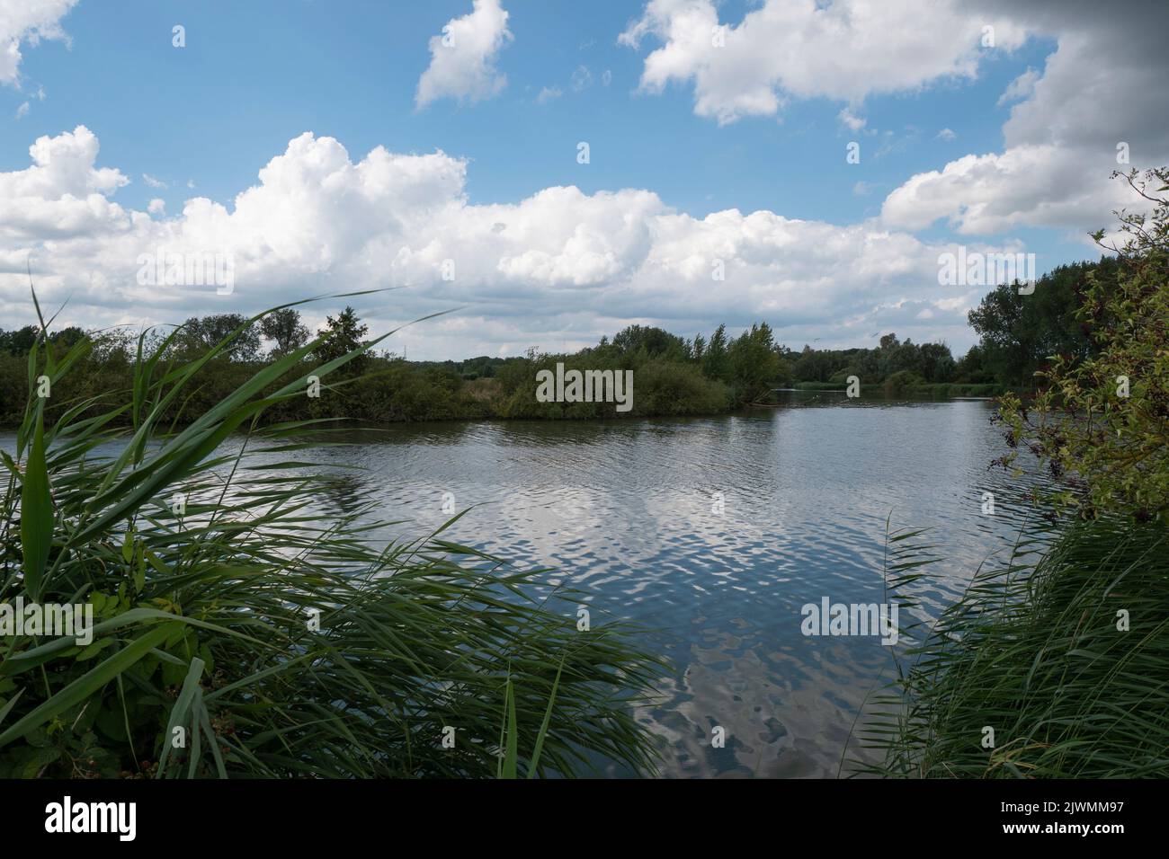 Wetland preservation hi-res stock photography and images - Alamy