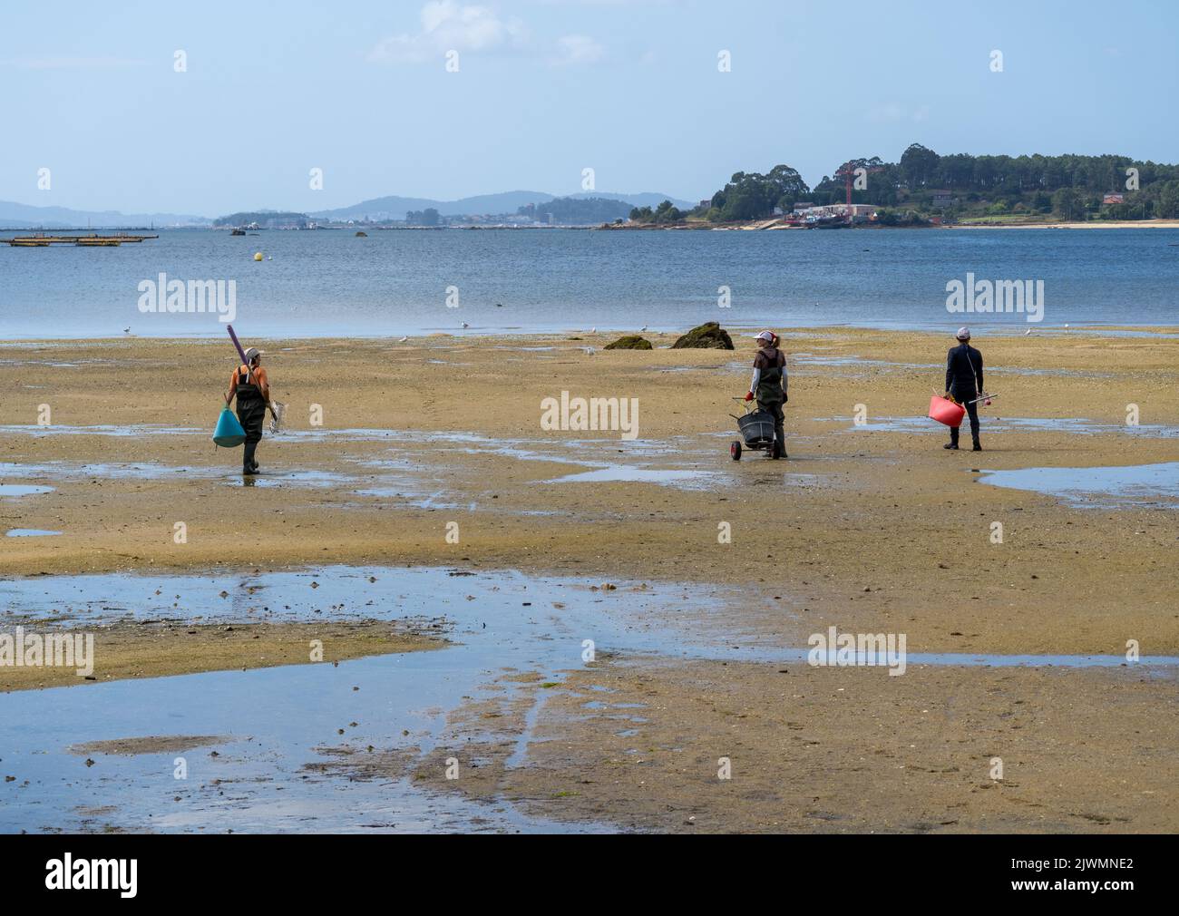 Two shellfish gatherers and a shellfish woman stand with their backs