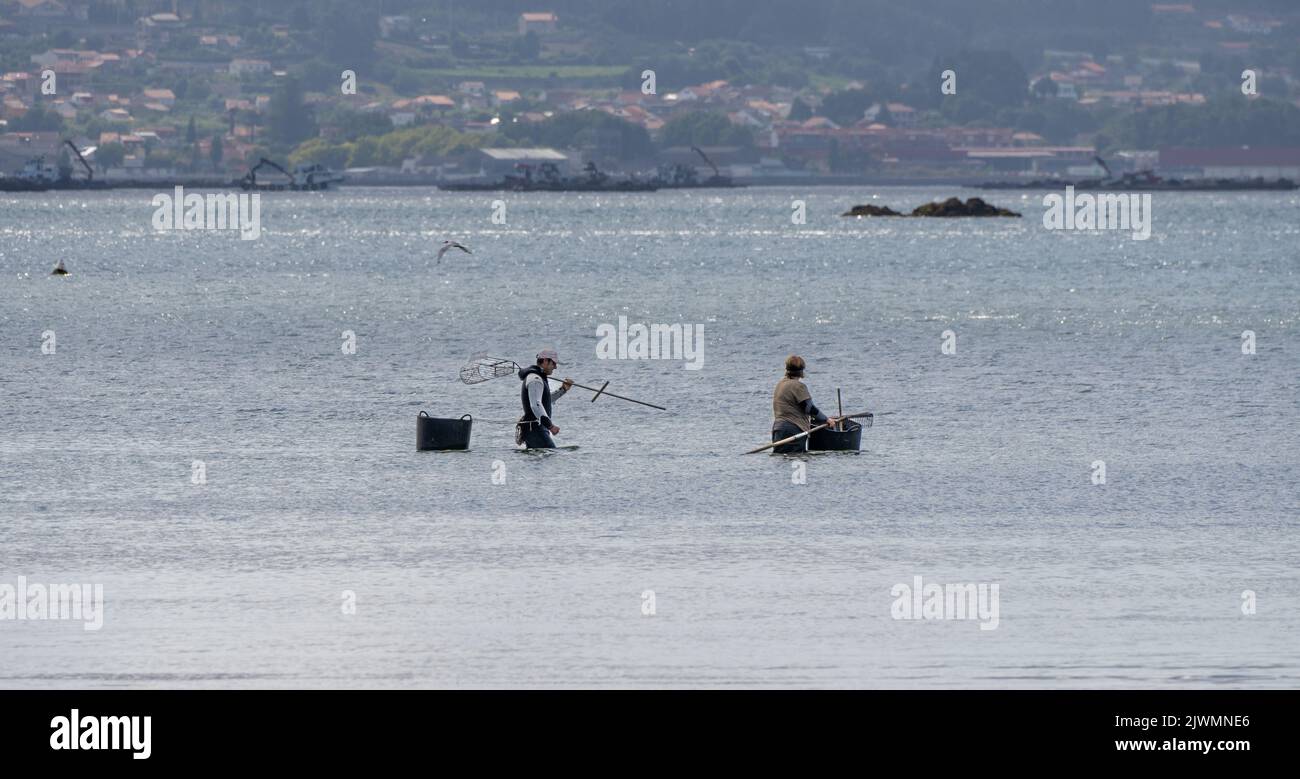 One man an a female shellfish gatherers walk along the beach shore to prepare to collect clams and mussels from the beach with their rake. Boiro beach. Stock Photo