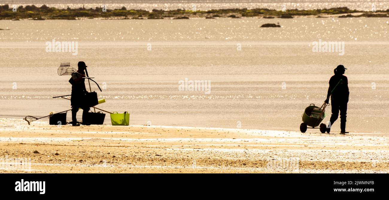 Two female shellfish gatherers walk along the beach shore to prepare to collect clams and mussels from the beach with their rake. Boiro beach. Stock Photo