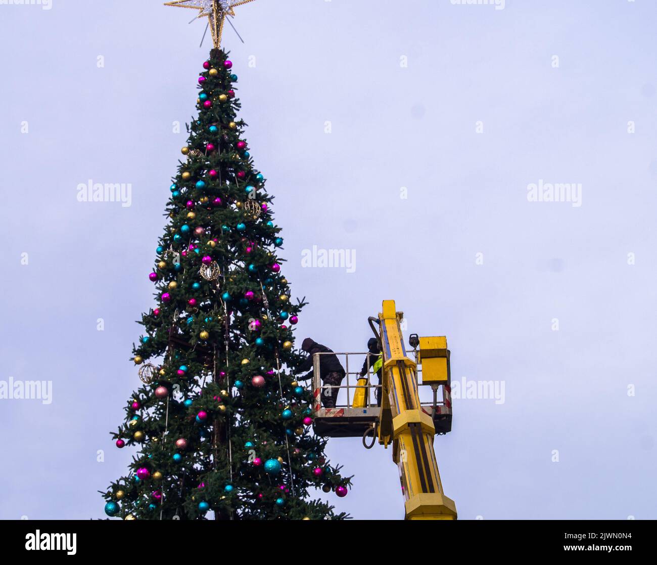 Christmas tree being assembled by person Stock Photo Alamy