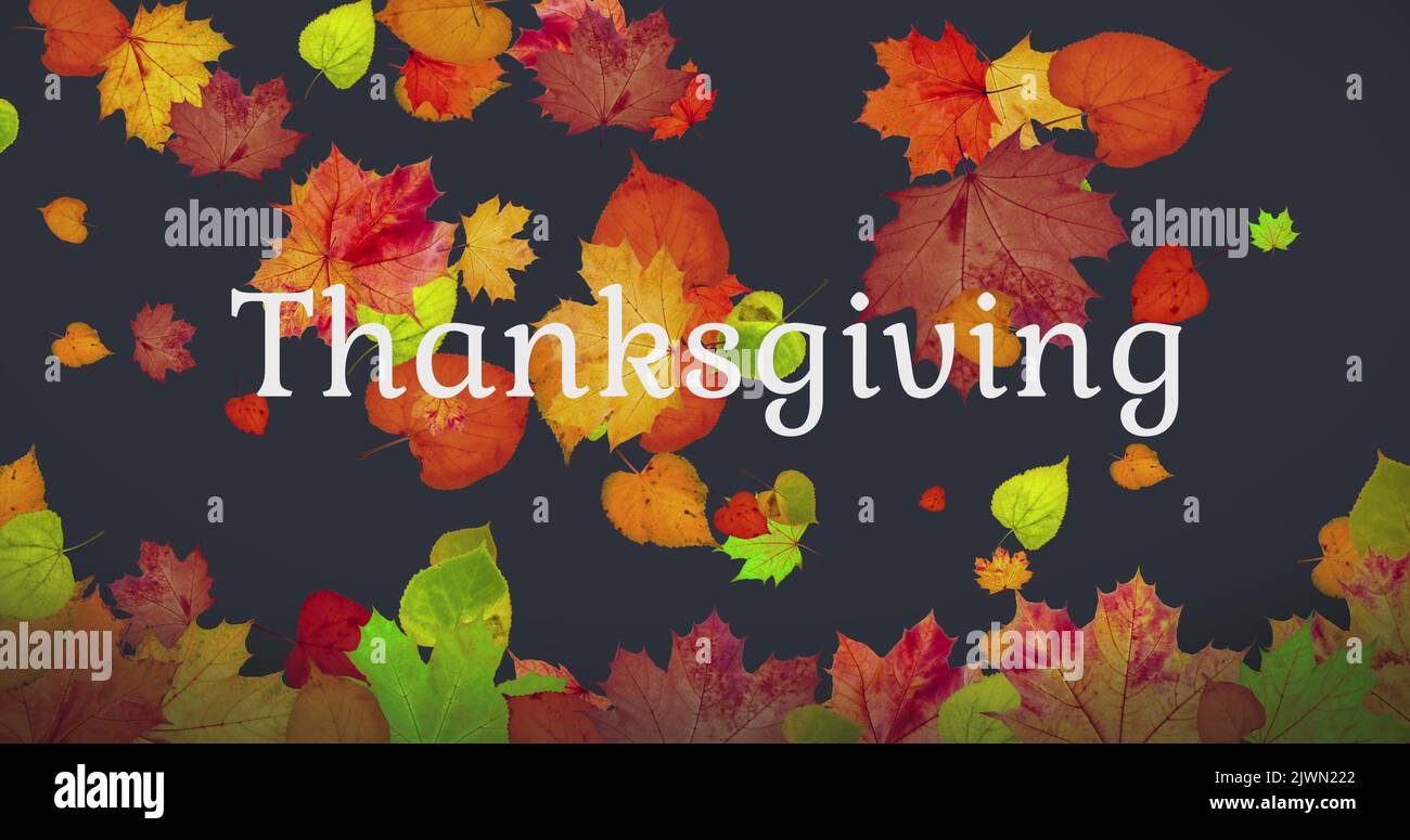Autumn sale animated background leaf hi-res stock photography and ...