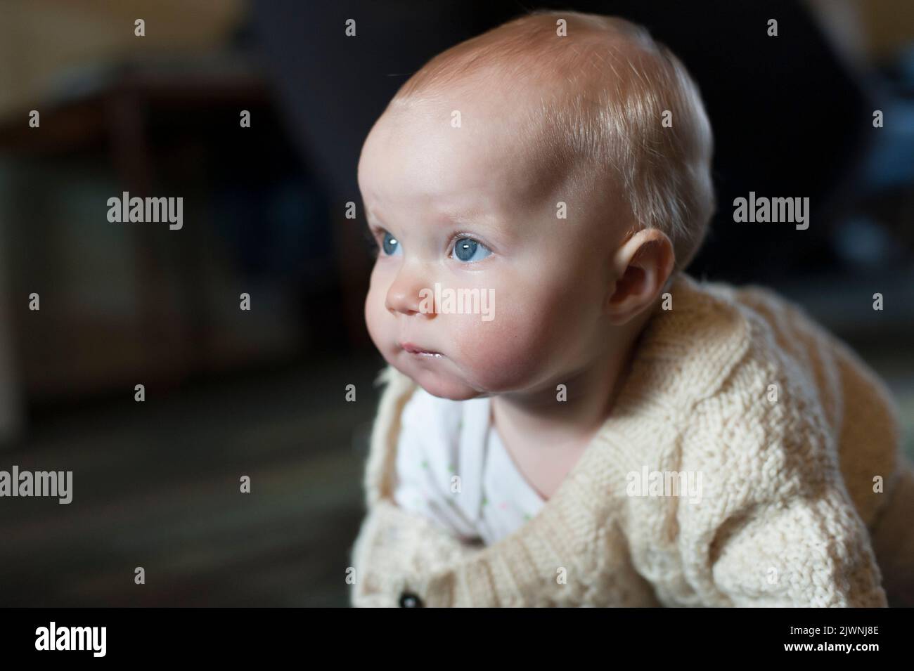 Portrait of a blond eight-month-old baby crawling, looking intensely at her destination. Stock Photo