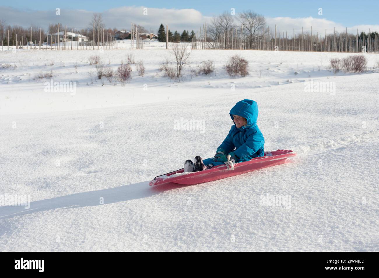 A two year old in a blue snowsuit on a red toboggan slides down a gentle hill in the Canadian countryside. Stock Photo