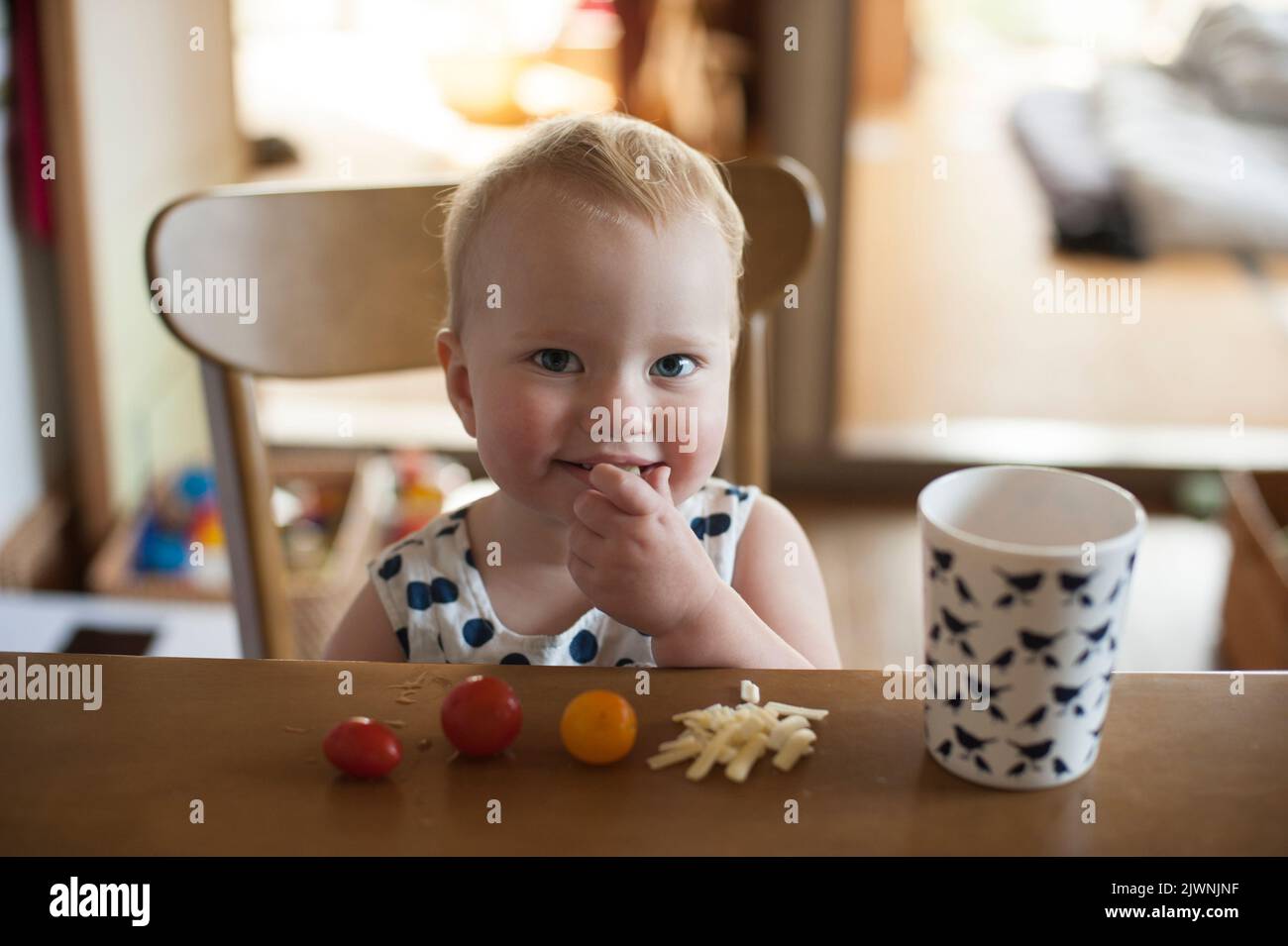 An eighteen-month-old baby sits at the table enjoying a snack of cherry tomatoes, shredded cheese, and a drink of water. Stock Photo