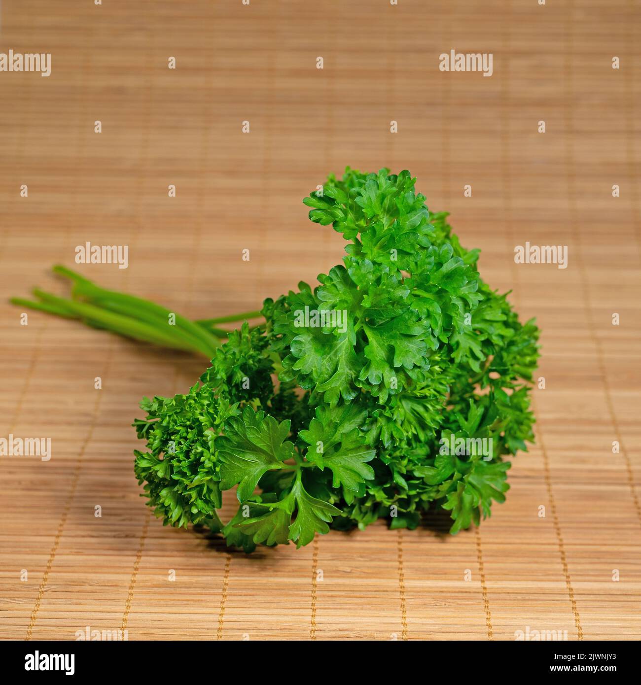 Parsley, Petroselinum crispum, in a closeup Stock Photo