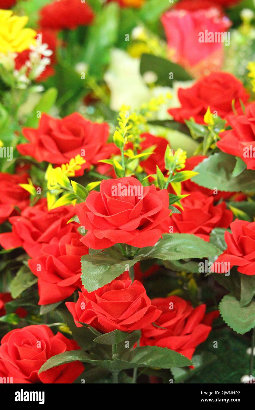 artificial flowers on window display Stock Photo Alamy