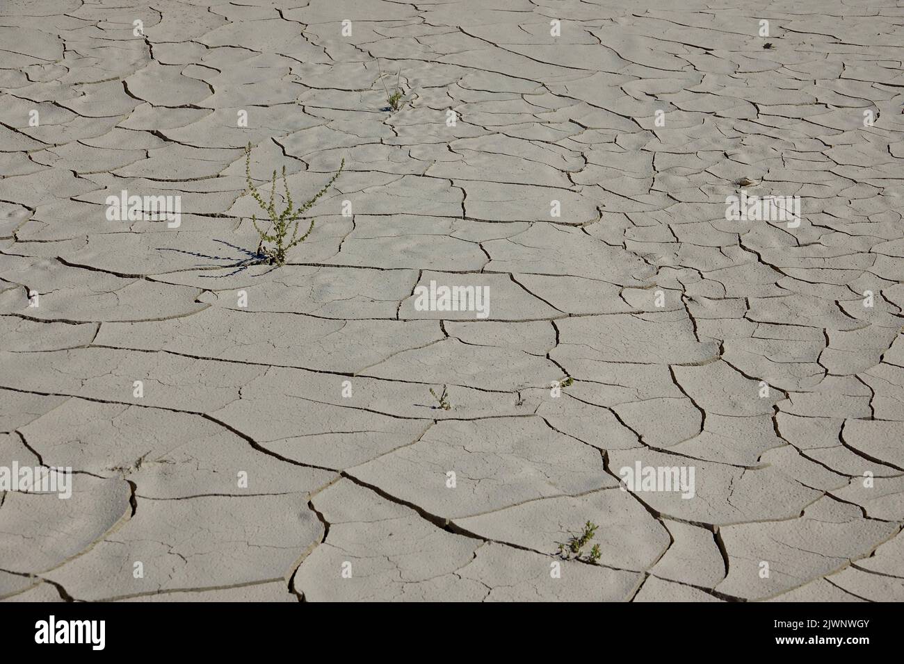 drought condition in the Mojave desert Stock Photo