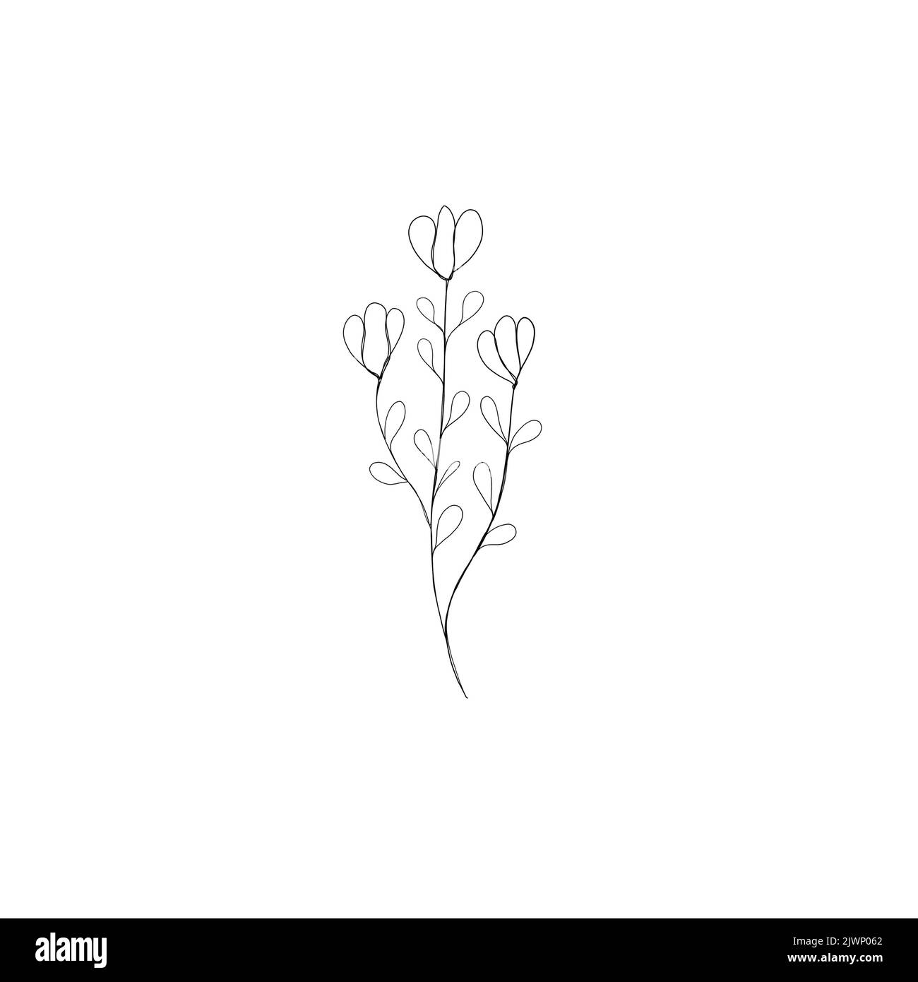 Flower One Line Drawing. Floral Minimalistic Style. Botanical Print