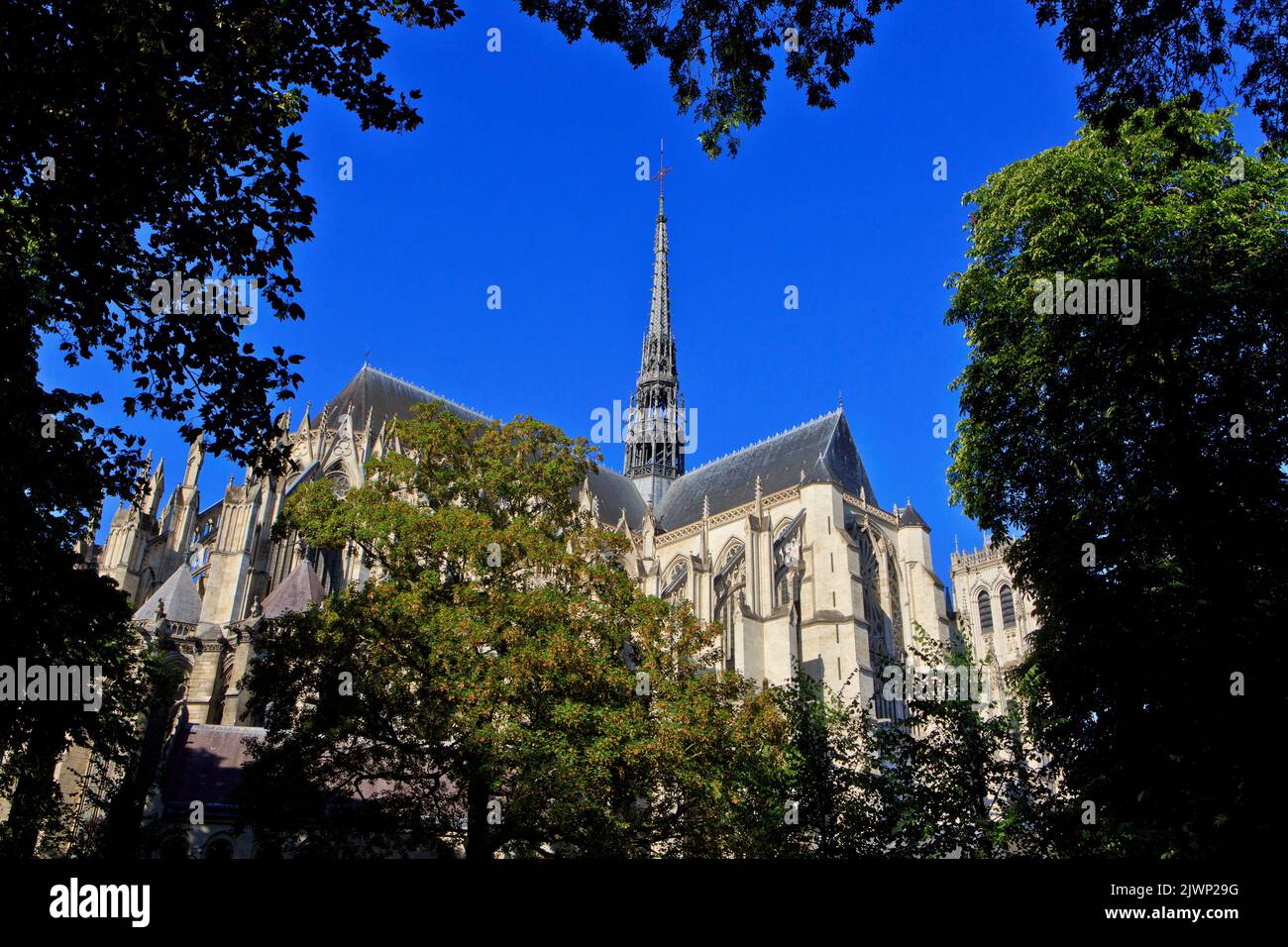 Amiens Cathedral (a UNESCO World Heritage Site) in Amiens (Somme), France Stock Photo