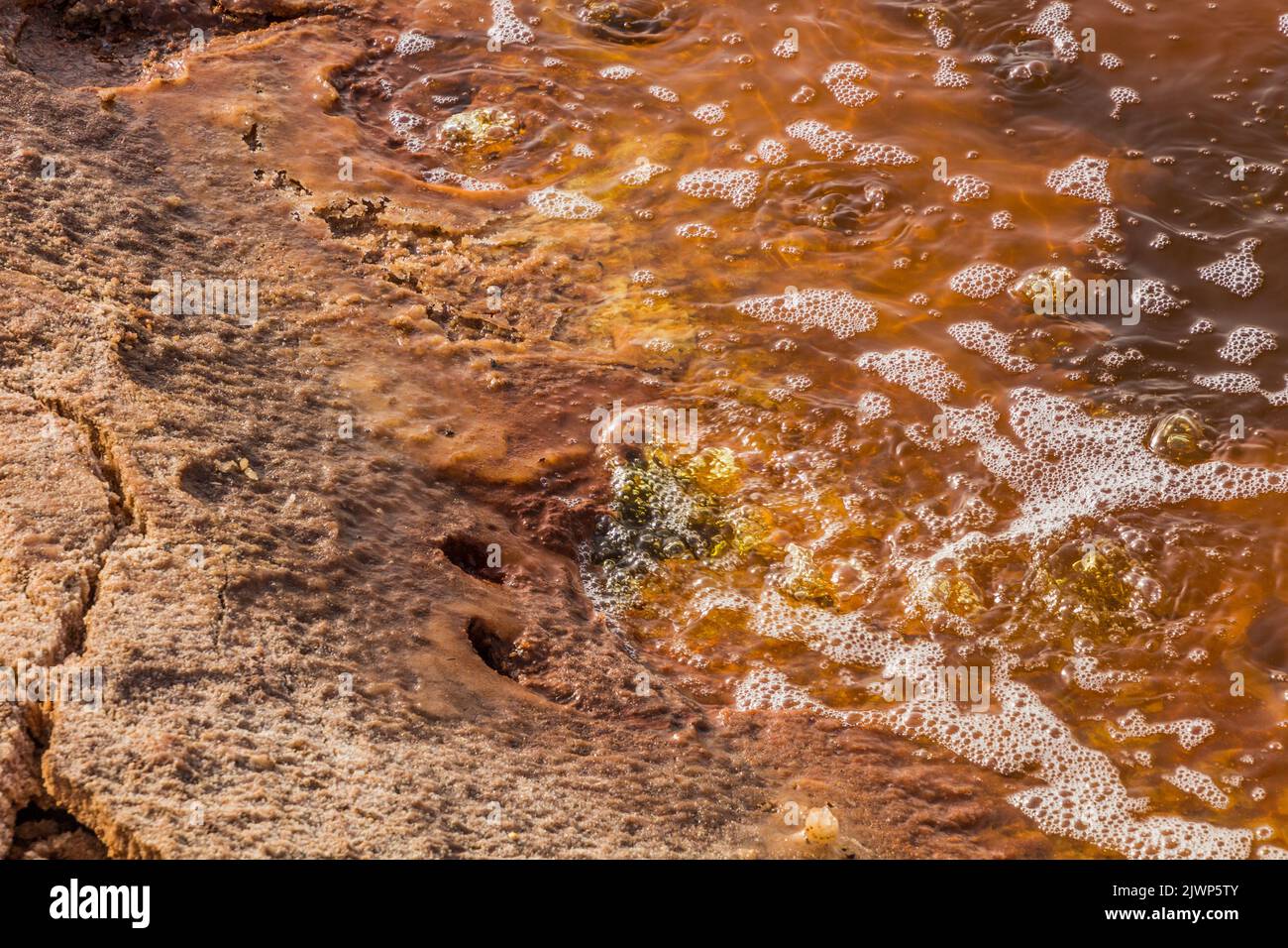 Detail of Gaet'ale Pond in Danakil depression, Ethiopia. Hypersaline ...