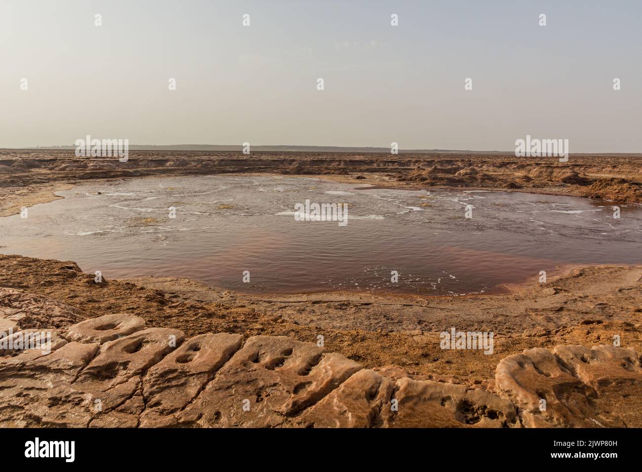 Gaet'ale Pond in Danakil depression, Ethiopia. Hypersaline lake with bubbling gas. Stock Photo
