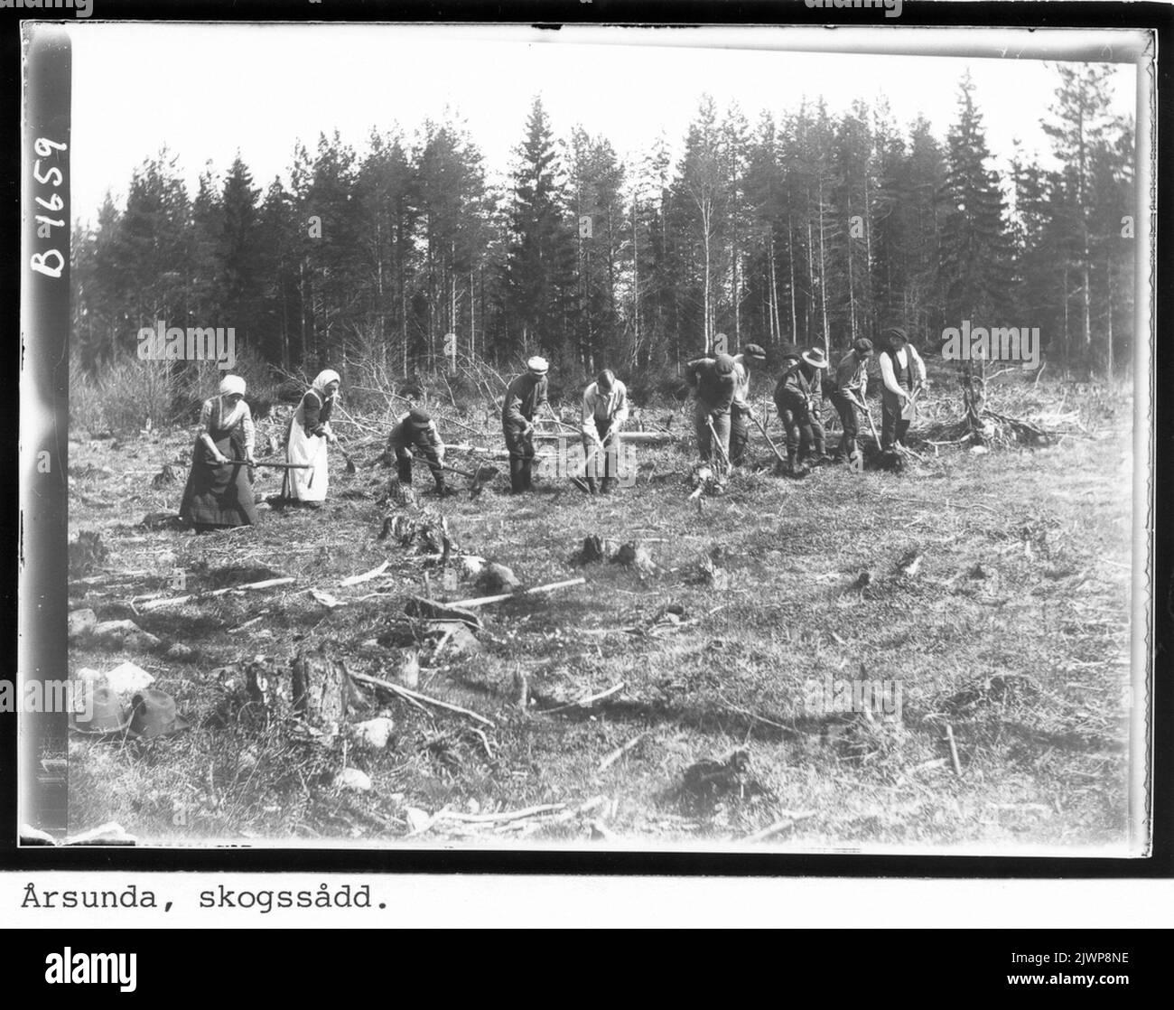 Sowing seed hand Black and White Stock Photos & Images - Alamy