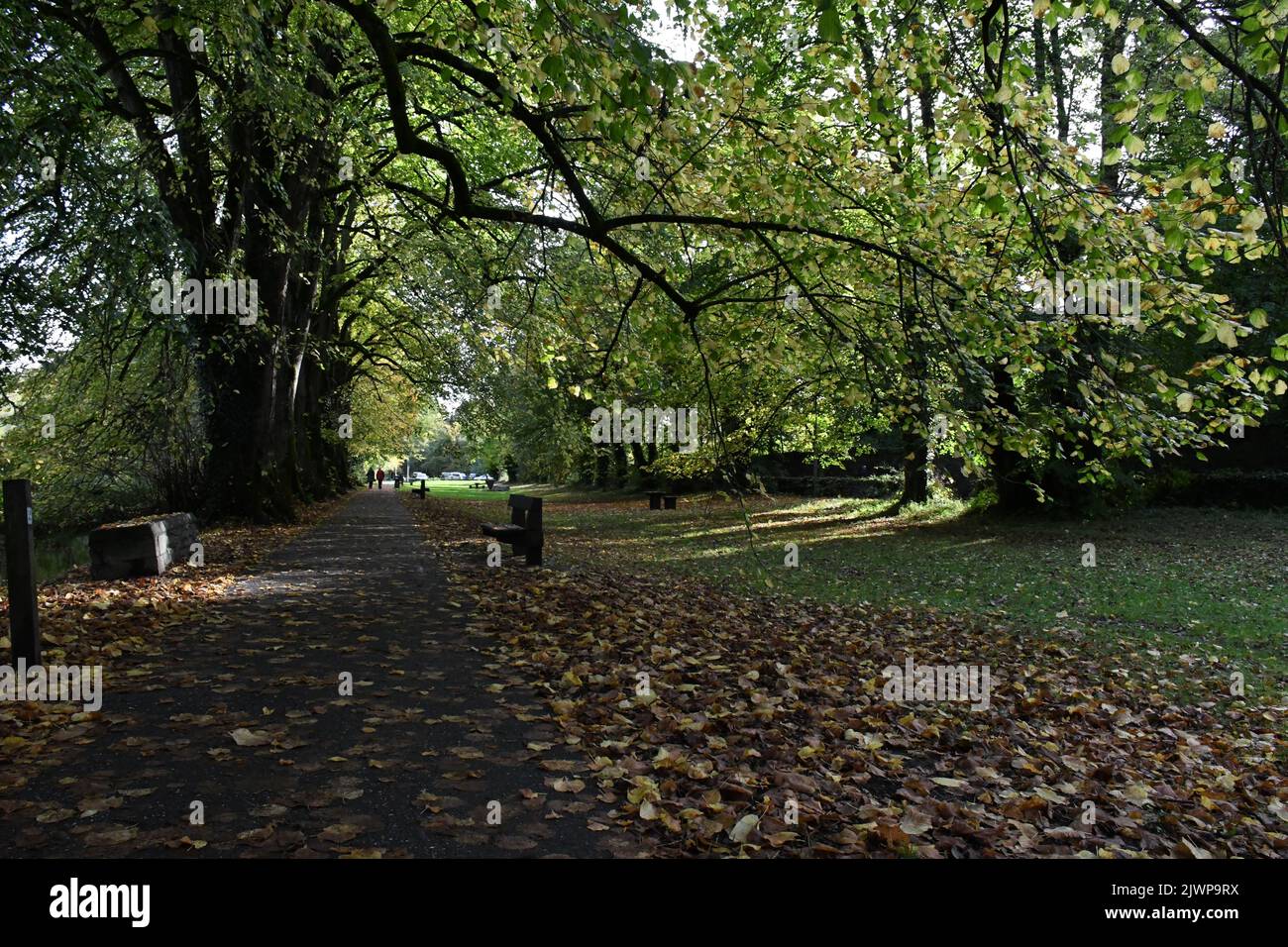 Canal Walk, Kilkenny, Ireland Stock Photo Alamy