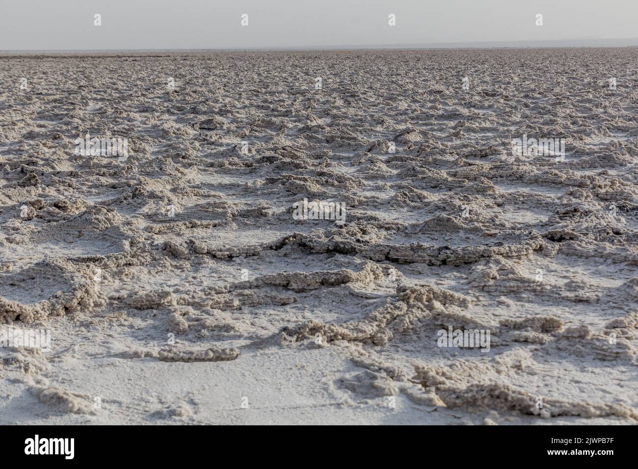 Salt flats of Danakil depression, Ethiopia Stock Photo