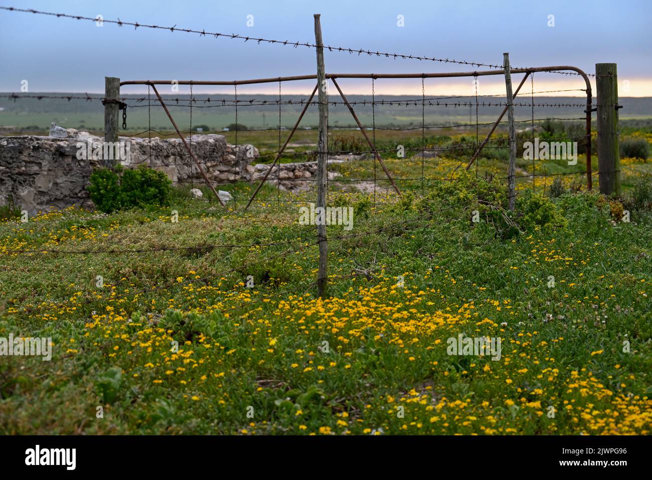Old farm gate with wild flowers Stock Photo - Alamy