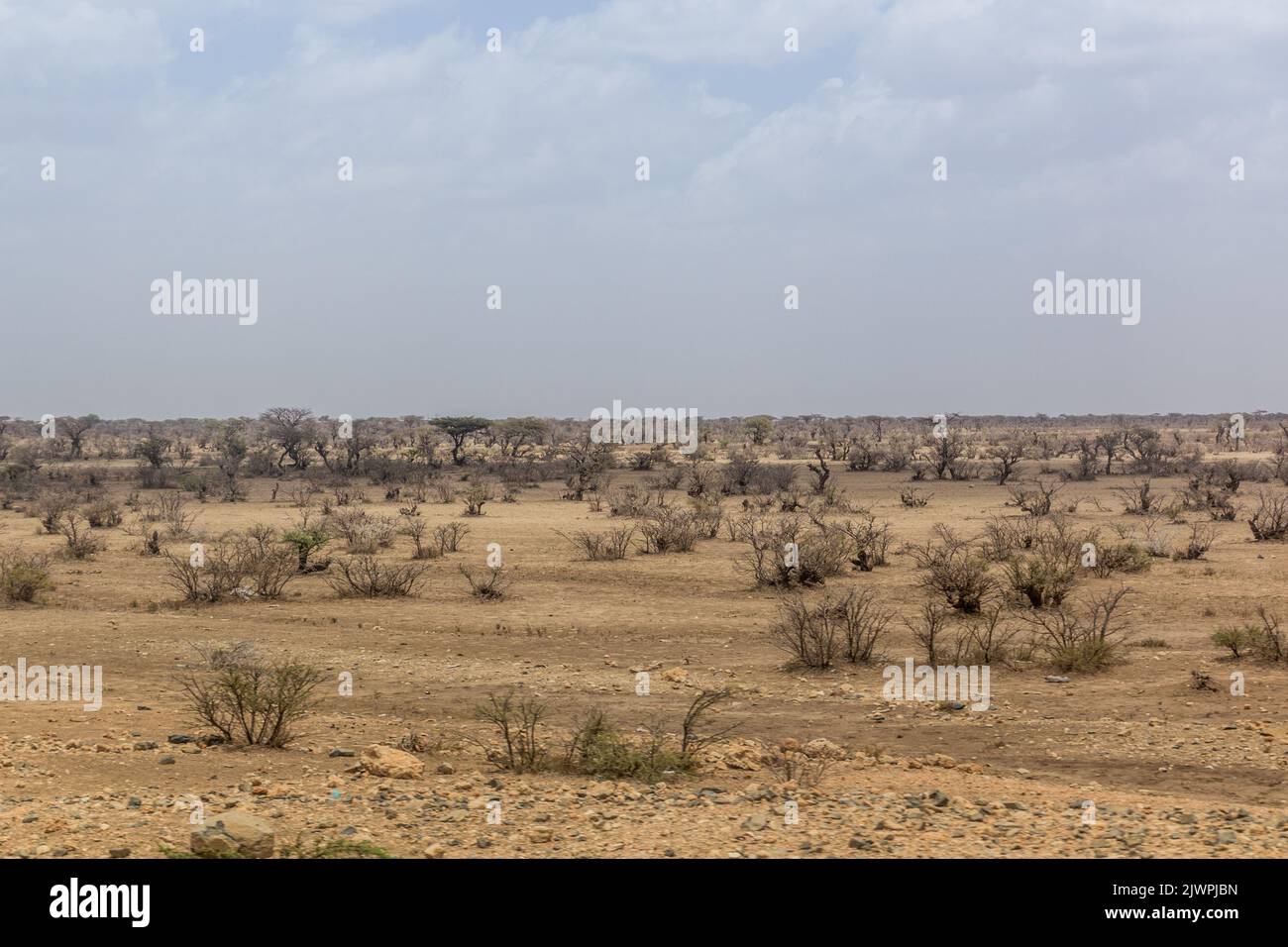 Landscape of eastern Ethiopia near Jijiga Stock Photo
